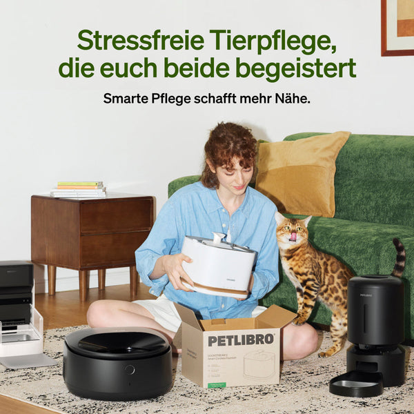 Katze alleine lassen im Urlaub? Die ultimative Checkliste für das „vollautomatische Katzensitting“ im Sommer