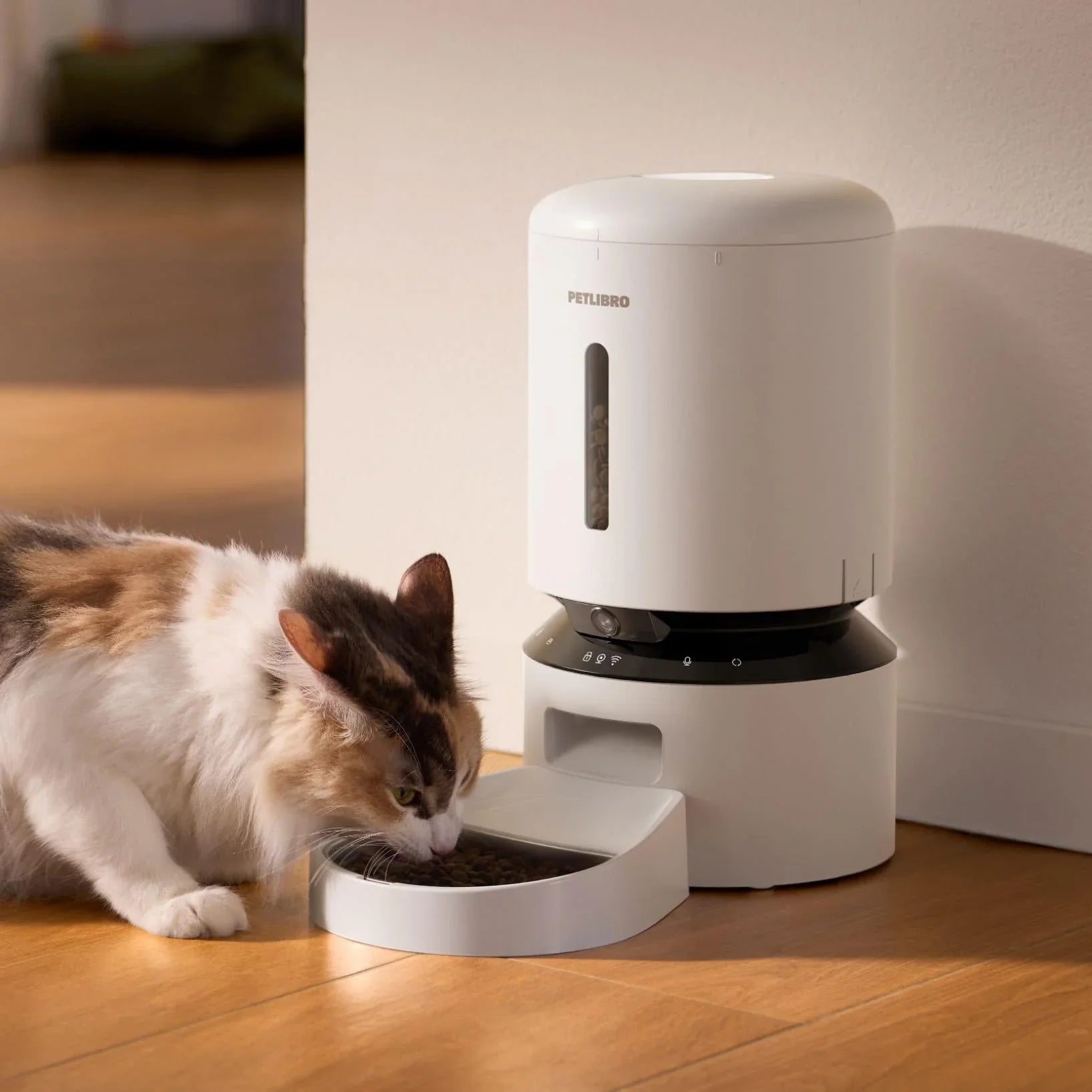 5 Gründe, warum Sie einen Futterautomat mit Zeitschaltuhr brauchen! Einleitung