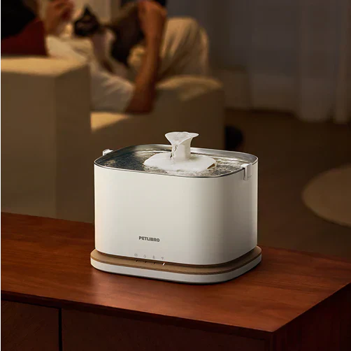 Dehydrierung bei Katzen erkennen: Symptome deuten und effektiv vorbeugen