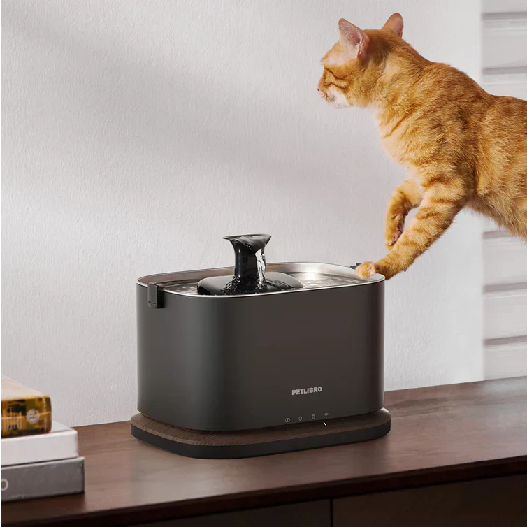 Trinkbrunnen für Katzen: 4 wertvolle Tipps, um Ihre Katze zum Trinken zu animieren