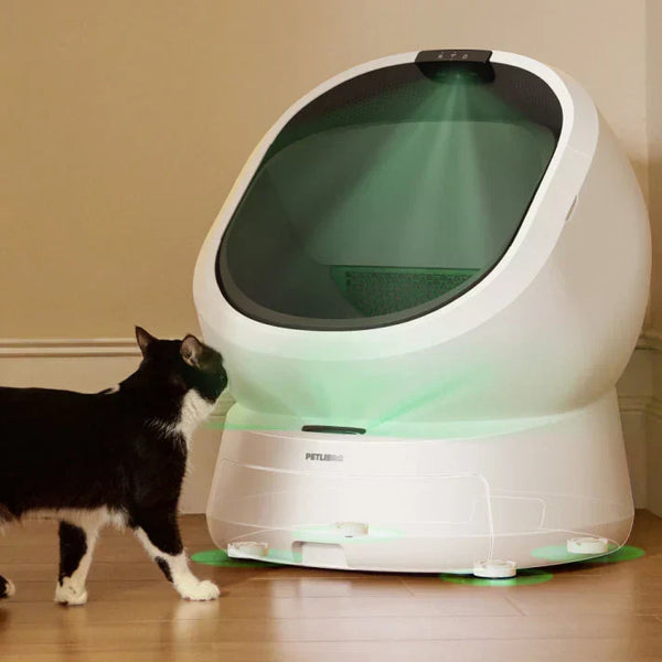Sicherheit an erster Stelle: Wie das selbstreinigende Katzenklo Luma Ihre Katze schützt