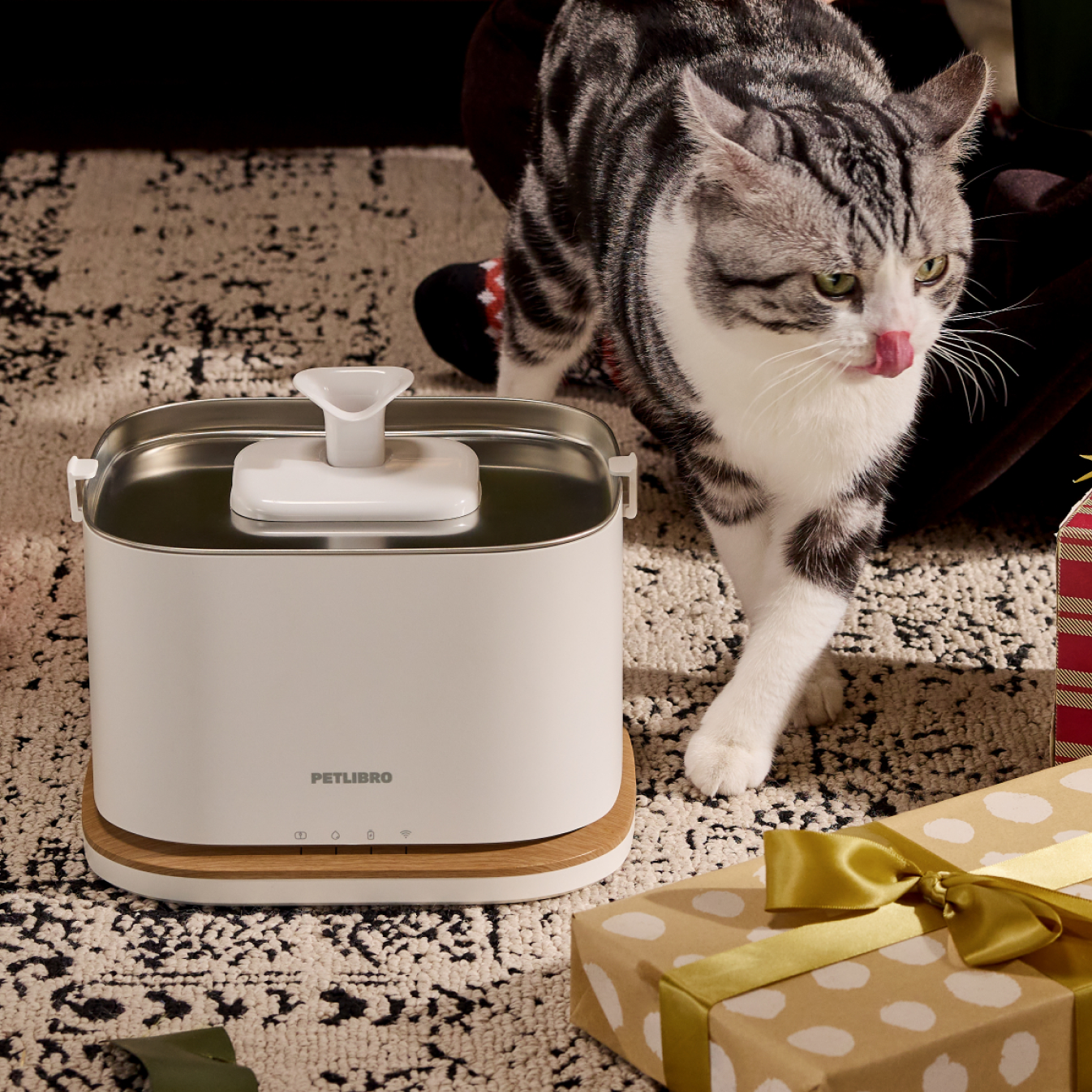 Top-Tipps für die Winterpflege & Gesundheit: Haustierwasser bei Kälte