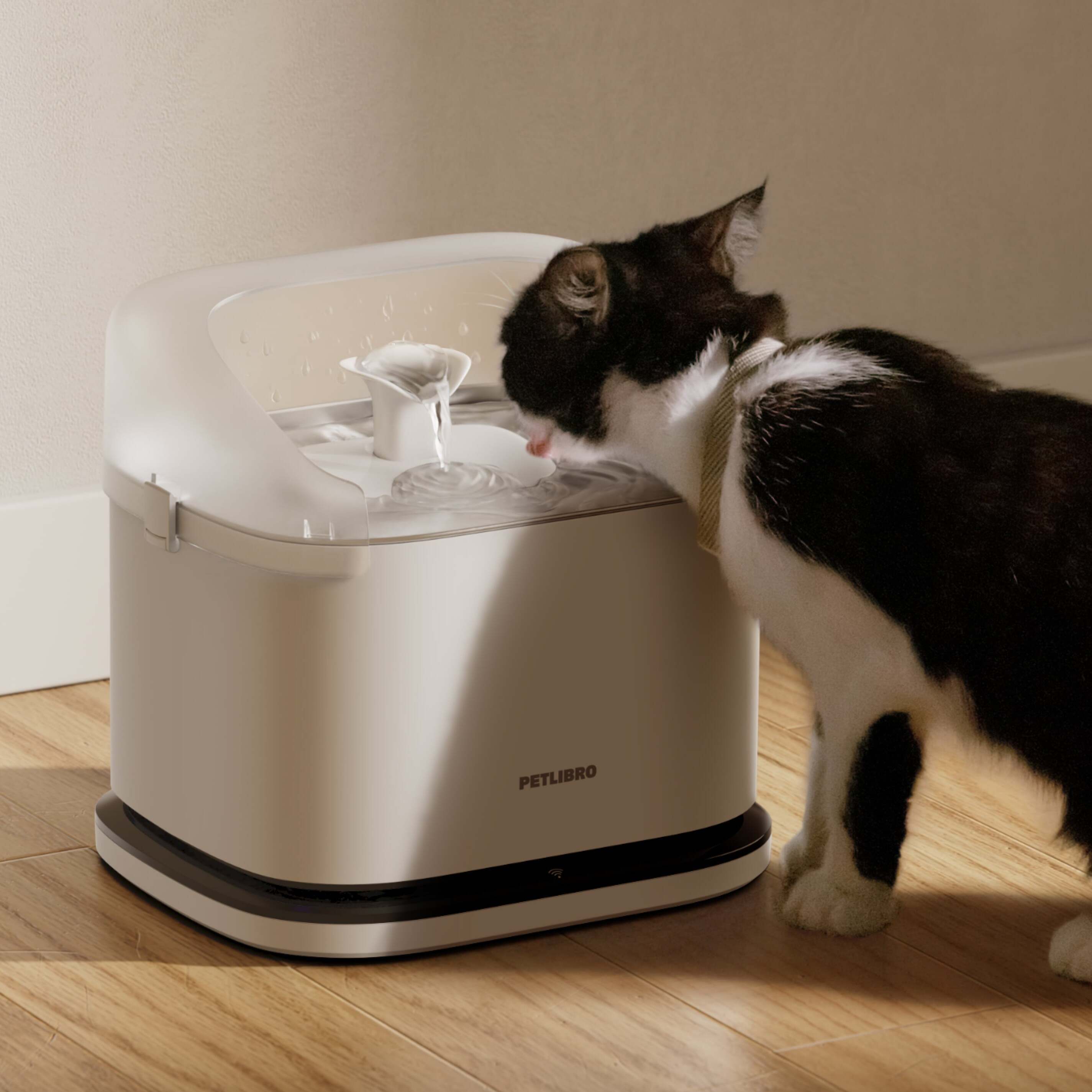 Funktionieren Katzenbrunnen-Filter wirklich? Der Schlüssel zur Trinkgesundheit im Winter