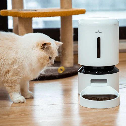 Kann ich meine Katze für eine Woche mit einem automatischen Futterautomat allein lassen?