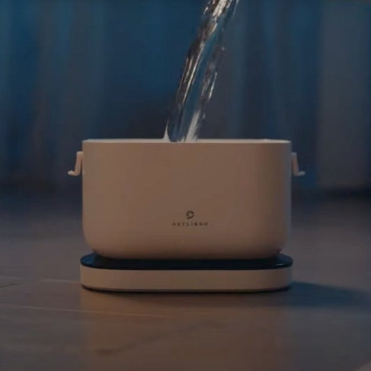 Wie oft sollte ich das Wasser für meine Katze wechseln?