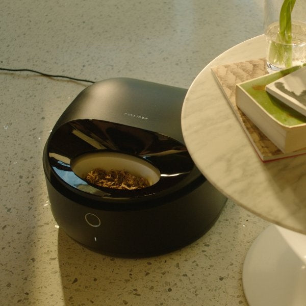 petlibro futterautomat