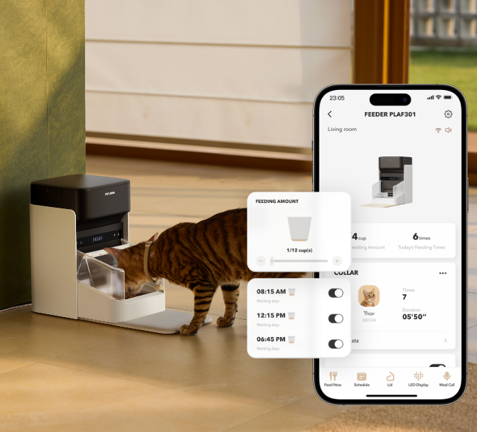 Petlibro PETLIBRO automatischer Futterspender neben Brunnen; getigerte Katze frisst, App-Steuerung im Wohnzimmer, Haustier-Zubehör bei Katzentoilette