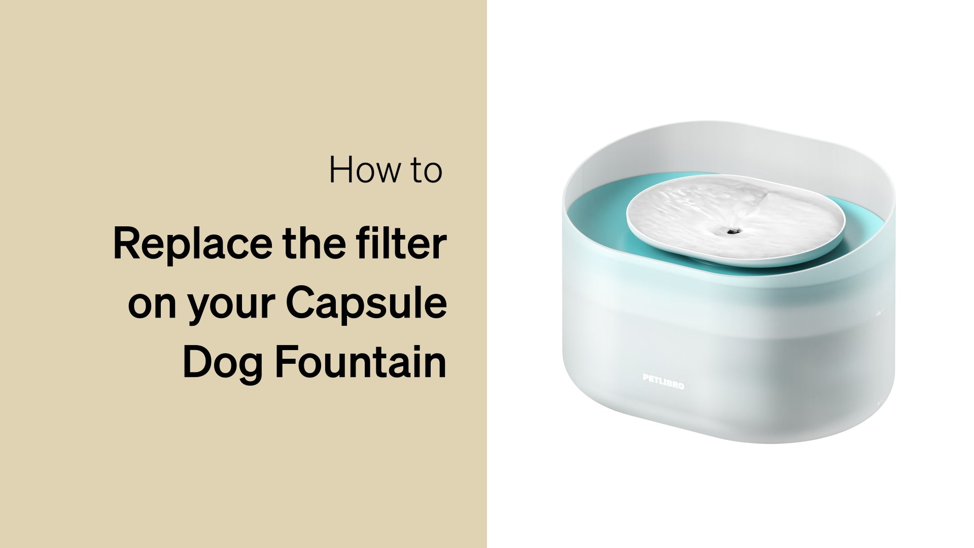 Petlibro PETLIBRO Brunnen für Haustier, weiß-türkis; Anleitung Filterwechsel, passend für Katze, Katzentoilette, automatischer Futterspender