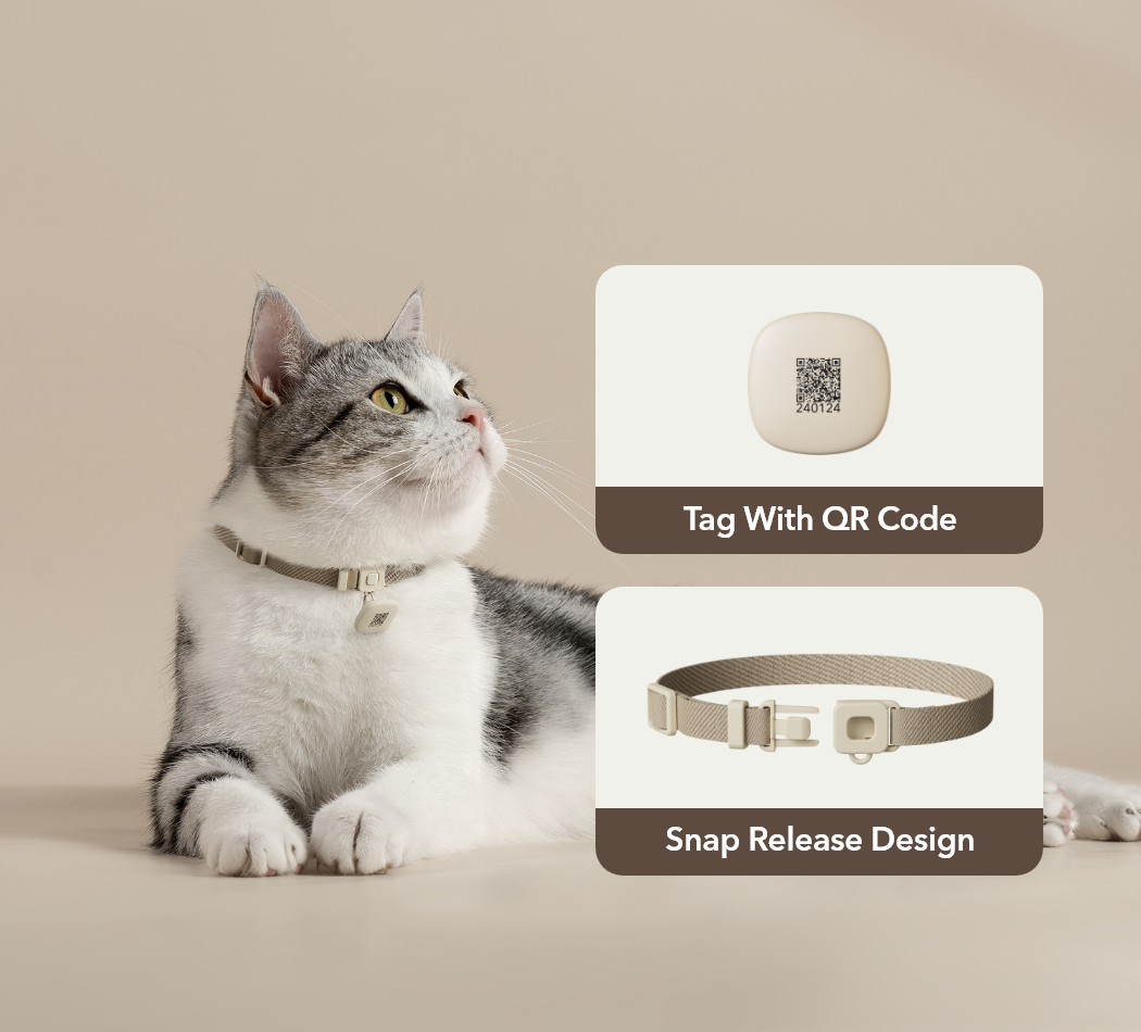Petlibro PETLIBRO Katze als Haustier mit beigem Halsband, QR-Tag und Snap-Release; Brunnen, Katzentoilette, automatischer Futterspender erwähnt