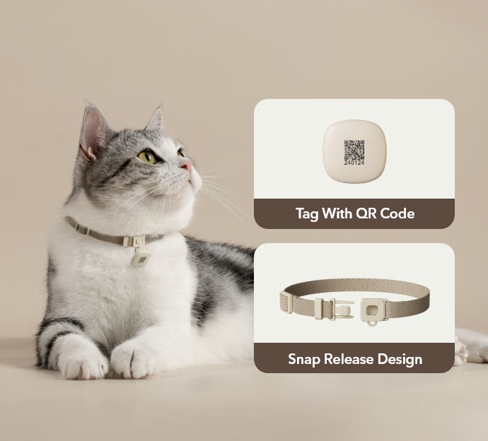 Petlibro PETLIBRO Halsband-Tag mit QR-Code und Schnellverschluss, Katze als Haustier im Studio; passend zu Brunnen, Katzentoilette, automatischer Futterspender