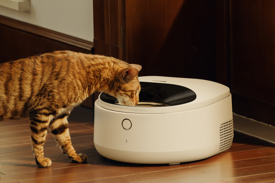 Polar Nassfutterautomat