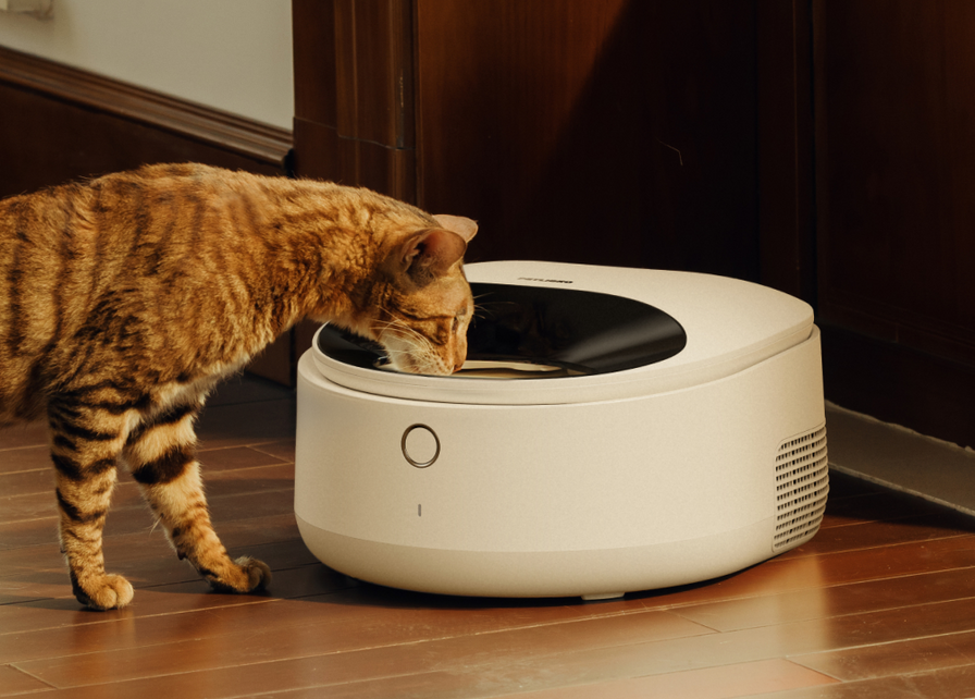 Polar Nassfutterautomat