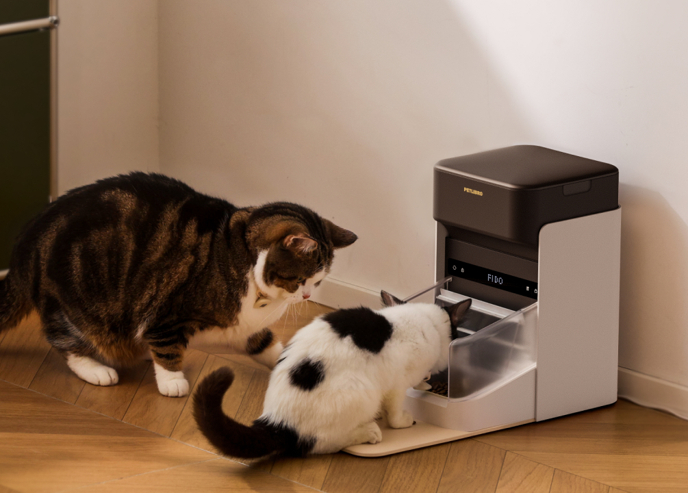 Petlibro PETLIBRO automatischer Futterspender schwarz-weiß, zwei Katze als Haustier fressen; Brunnen und Katzentoilette erwähnt