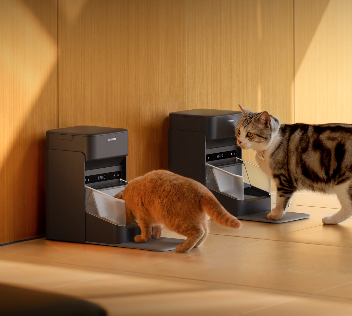 One RFID Futterautomat mit Halsband