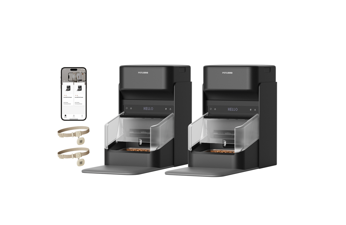 One RFID Futterautomat mit Halsband