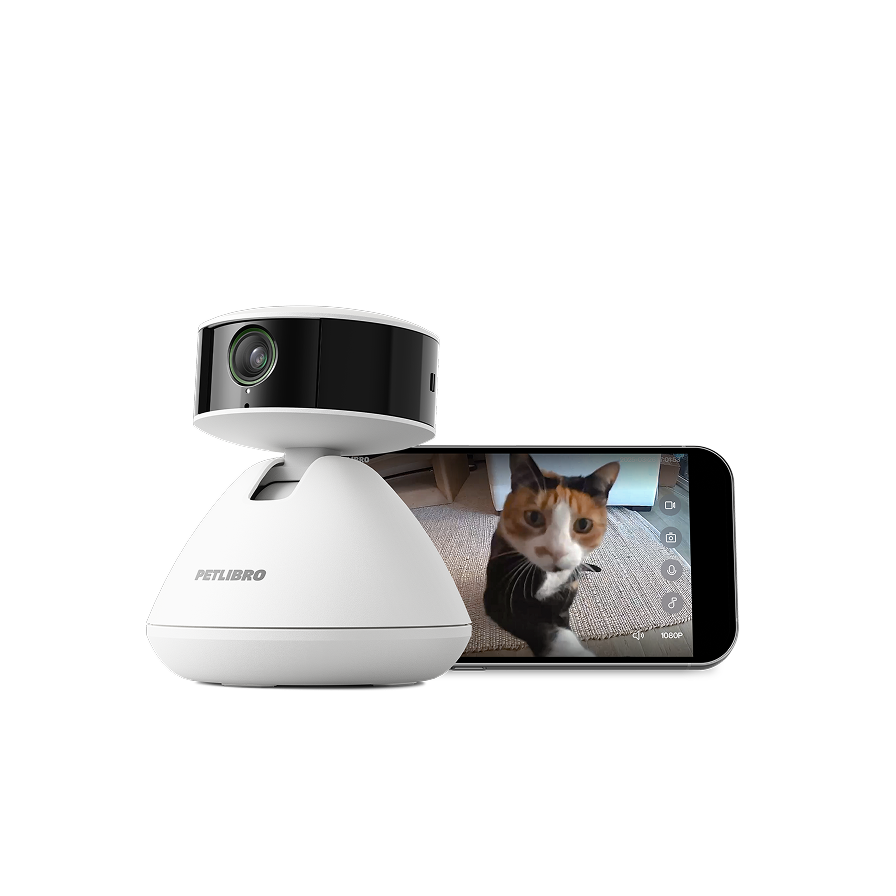 Petlibro PETLIBRO Haustierkamera weiß; Smartphone zeigt Katze im Livebild, passend zu Brunnen, Katzentoilette, automatischer Futterspender