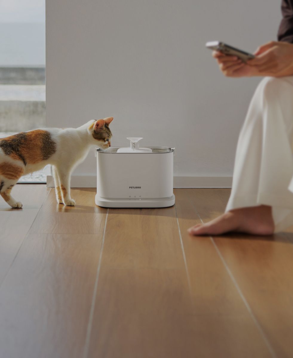 Petlibro PETLIBRO Brunnen: Katze trinkt am weißen Haustier-Wasserbrunnen; daneben Hinweis auf Katzentoilette und automatischer Futterspender