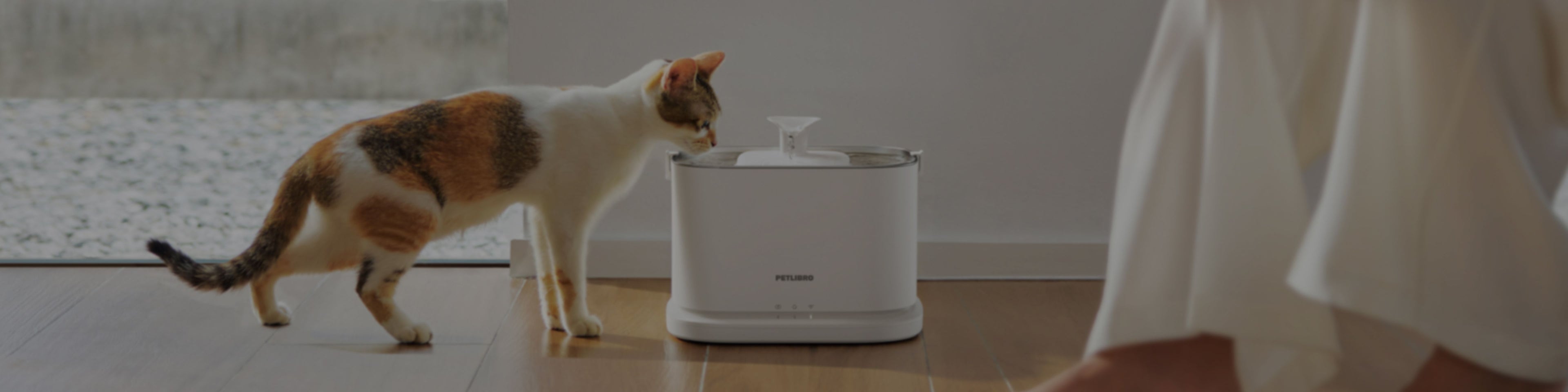 Petlibro PETLIBRO Brunnen: Katze als Haustier trinkt am weißen Trinkbrunnen neben Katzentoilette und automatischer Futterspender im Zimmer