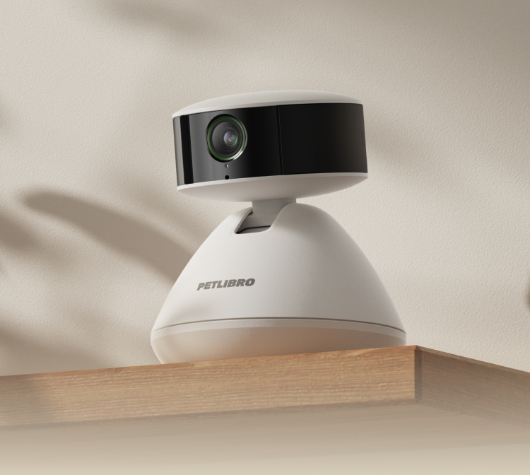 Video Cloud AI mit Scout Smart Camera