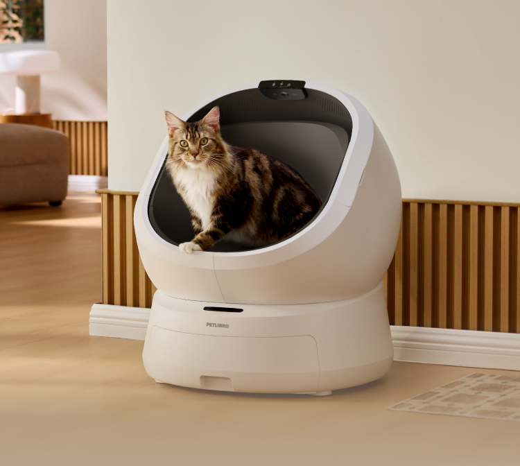 Video Cloud AI mit Luma Intelligente Selbstreinigende Katzentoilette