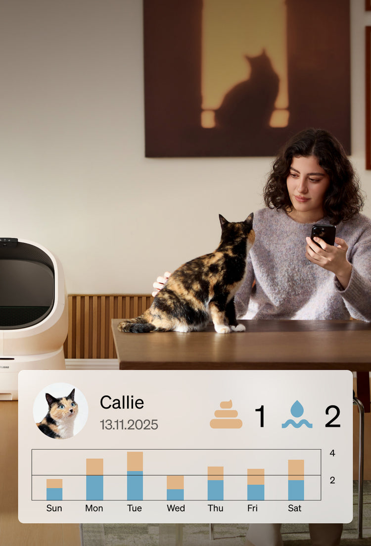 Petlibro PETLIBRO Brunnen, Katze am Tisch neben Katzentoilette; App zeigt automatischer Futterspender- und Haustier-Tracking.