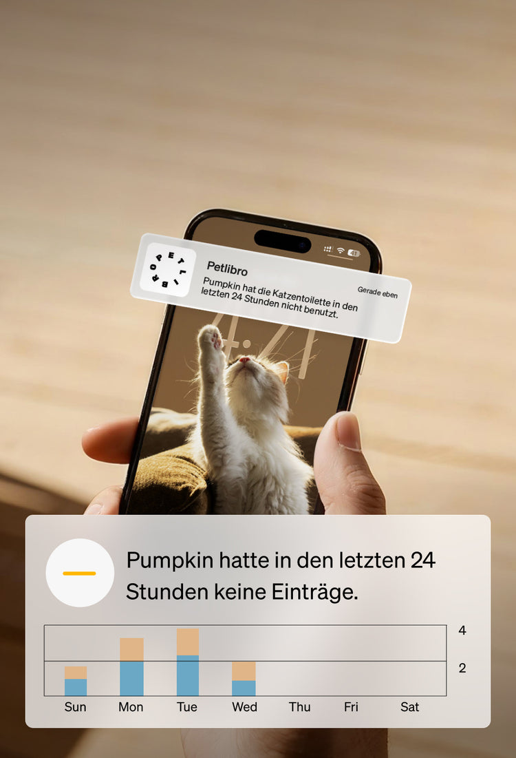 Petlibro PETLIBRO App-Alarm: Katze „Pumpkin“ nutzte 24h keine Katzentoilette; Haustier-Tracking für Brunnen und automatischer Futterspender