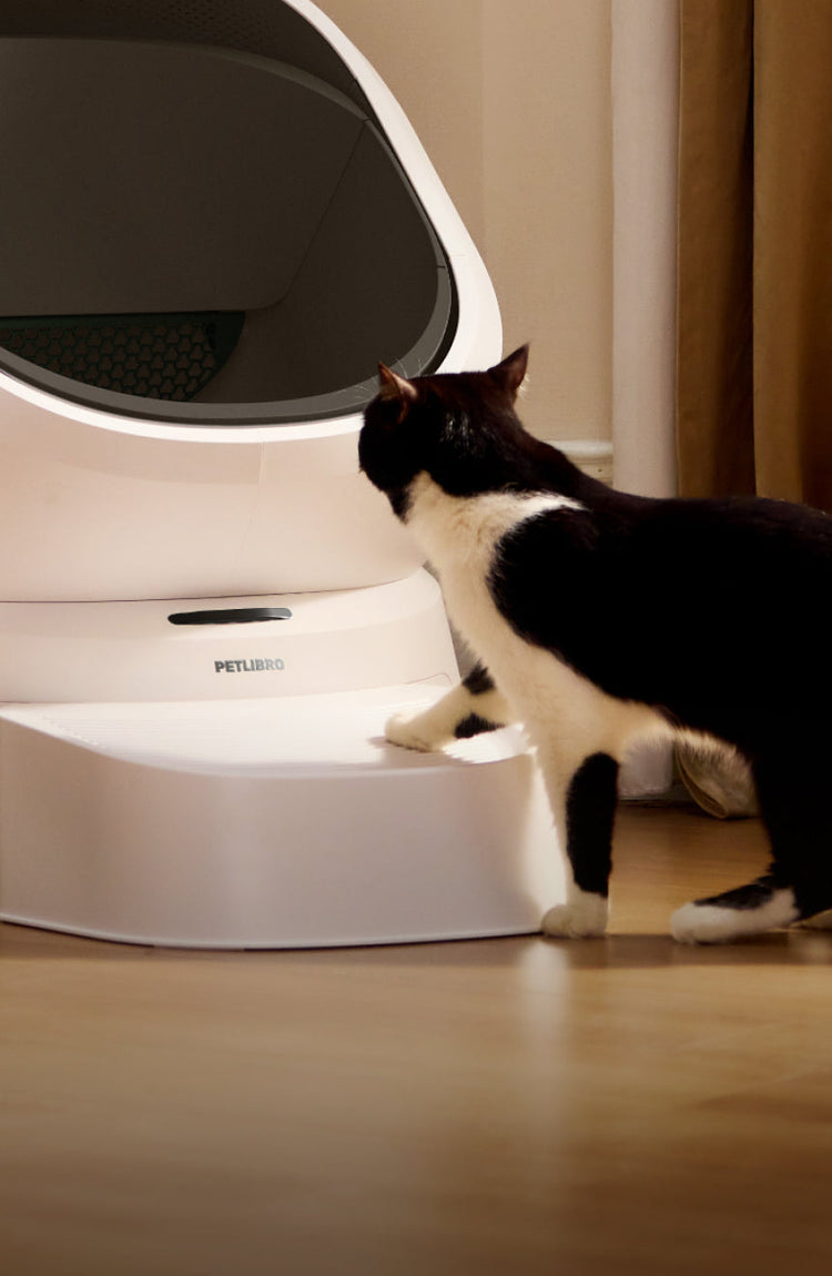 Petlibro PETLIBRO Katzentoilette in Weiß, Katze schnuppert daran; Haustier-Zubehör, Brunnen und automatischer Futterspender erwähnt
