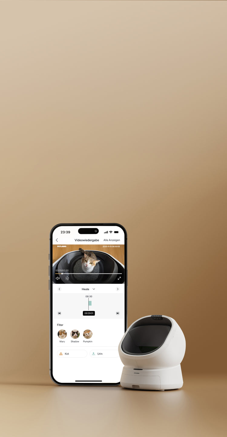 Petlibro PETLIBRO App zeigt Katze in Katzentoilette; daneben weißer Brunnen/Haustier-Set mit automatischer Futterspender-Funktion