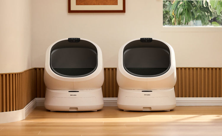 Petlibro PETLIBRO Katzentoilette in Weiß, zwei automatische Boxen im Raum; Brunnen und automatischer Futterspender fürs Haustier, Katze-Setup