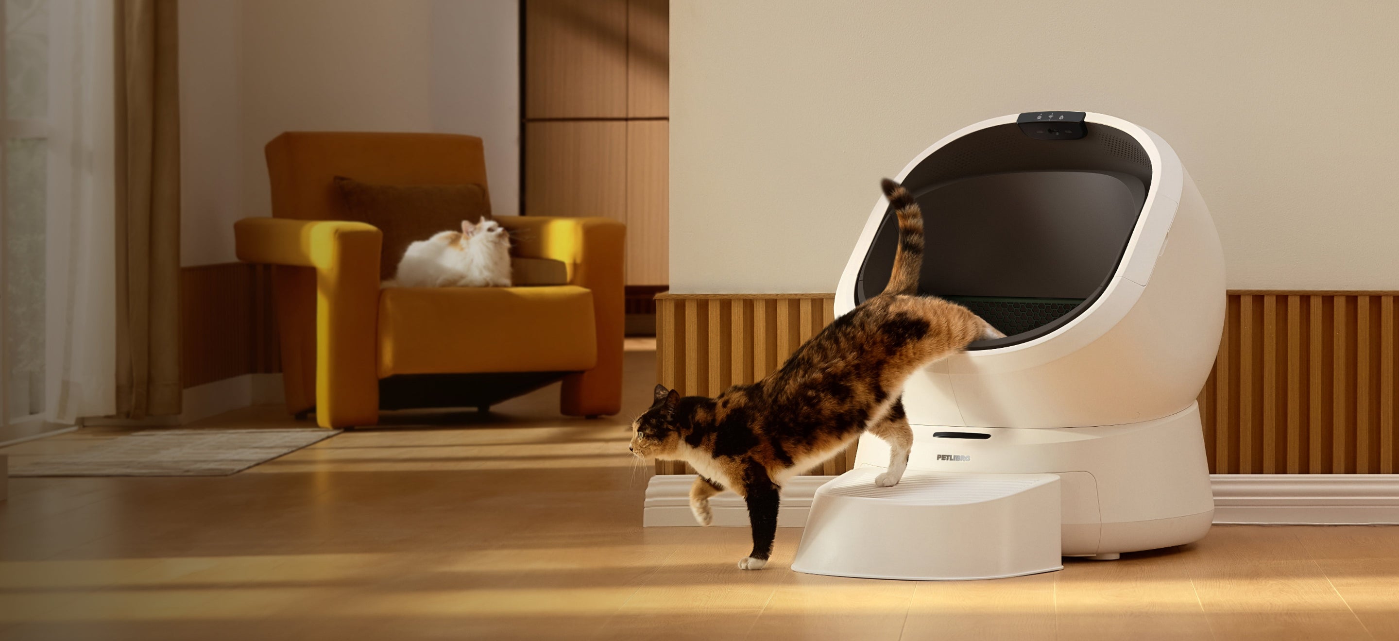 Petlibro PETLIBRO Katzentoilette; Katze steigt aus, Haustier im Wohnzimmer; Brunnen und automatischer Futterspender erwähnt