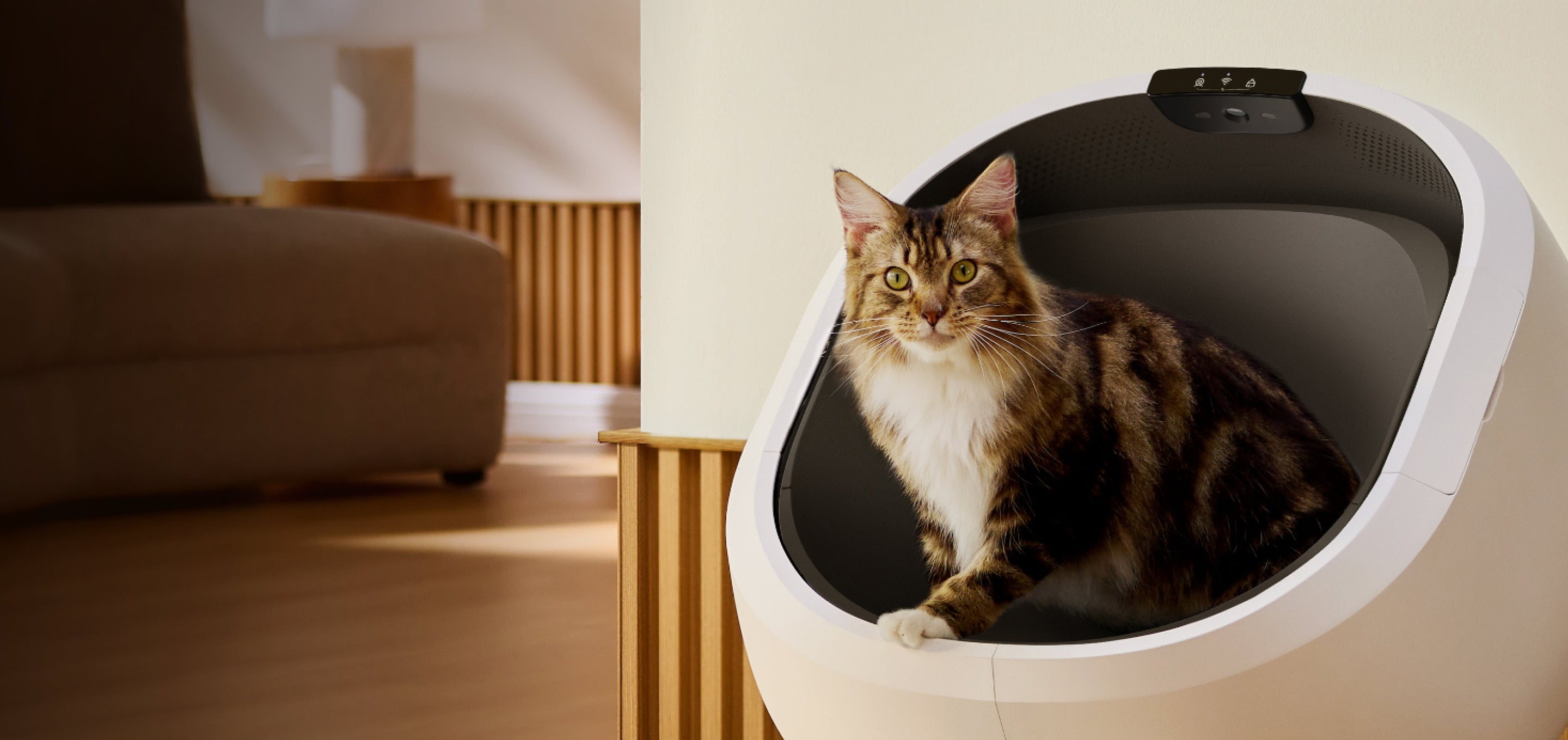 Petlibro PETLIBRO Katze sitzt in weißer Katzentoilette; Haustier-Zubehör, Brunnen und automatischer Futterspender Keywords integriert