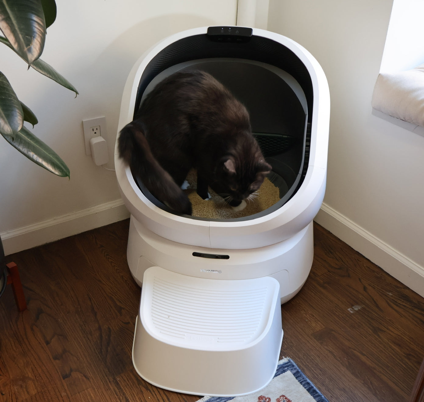 Petlibro PETLIBRO Katzentoilette: schwarze Katze im weißen Haustier-Klo; Brunnen und automatischer Futterspender als Zubehör erwähnt