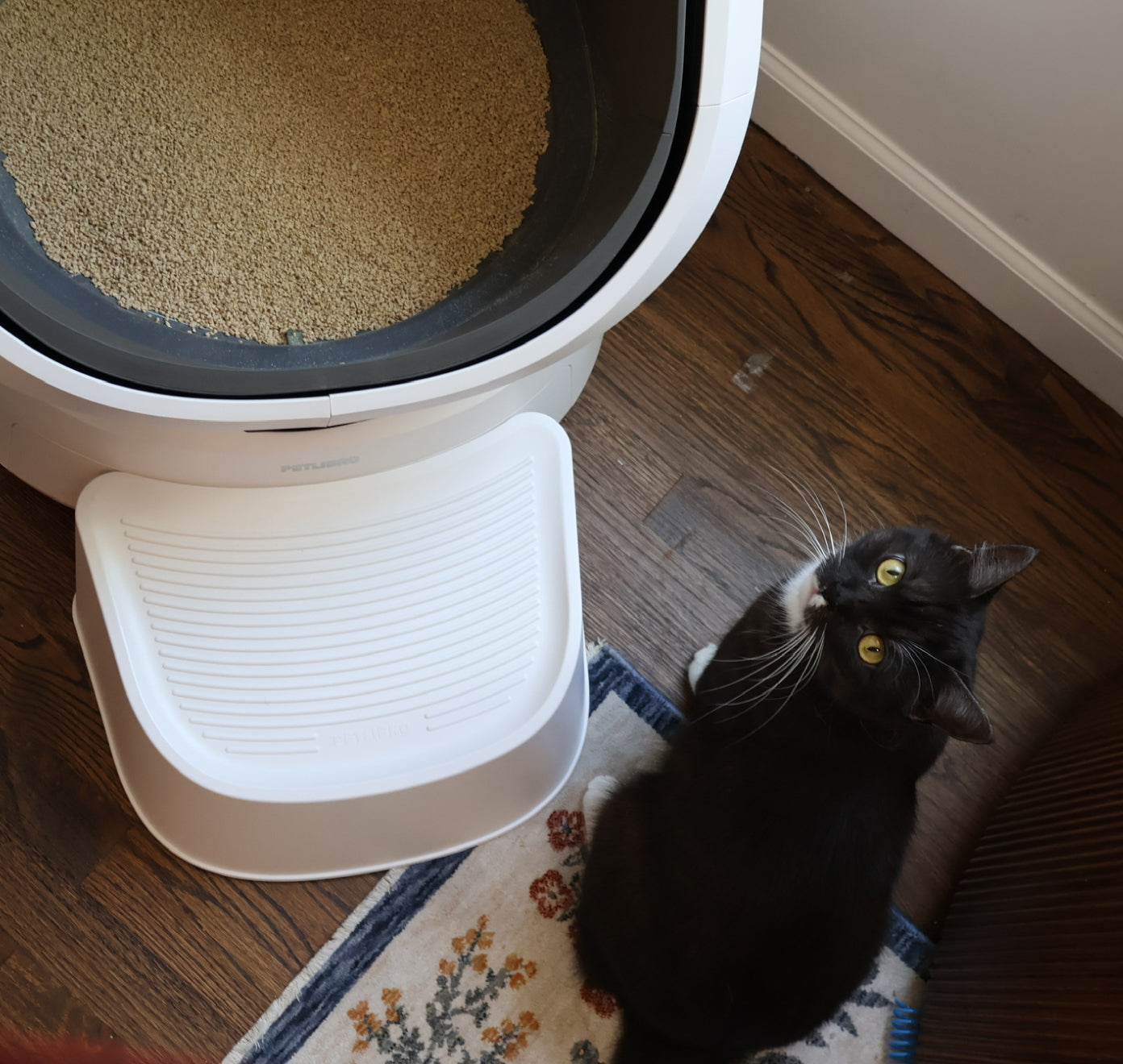 Petlibro PETLIBRO Katzentoilette mit Streumatte; schwarze Katze als Haustier daneben, Brunnen und automatischer Futterspender erwähnt