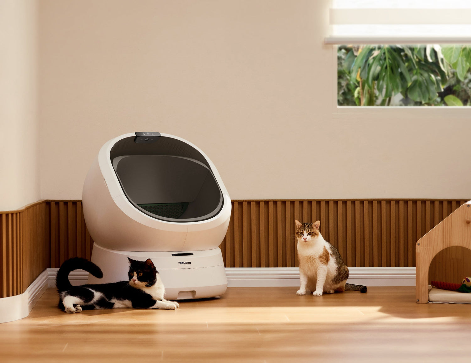 Petlibro PETLIBRO cat pet litter box in home corner with two cats; mentions fountain and automatic feeder for SEO