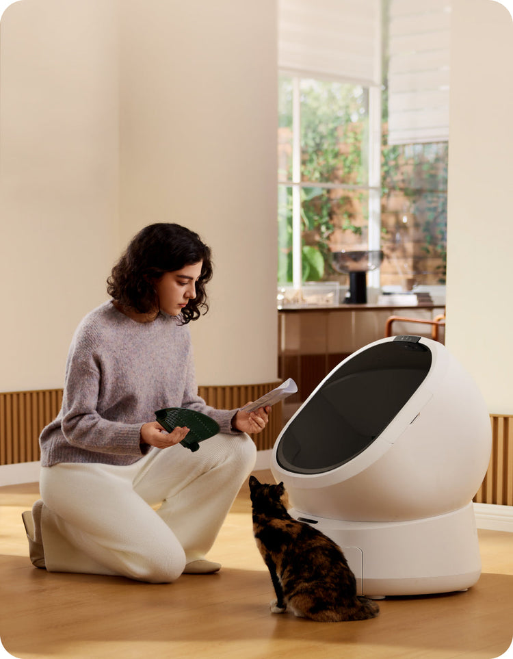 Petlibro PETLIBRO Katzentoilette weiß, Frau montiert Teil; Katze davor, Haustier-Setup mit Brunnen und automatischer Futterspender im Raum