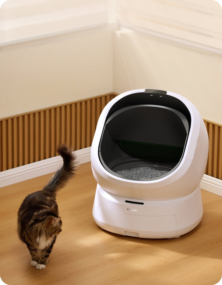 Petlibro PETLIBRO Katzentoilette weiß, Katze daneben; Haustier-Setup mit Brunnen und automatischer Futterspender im Zuhause