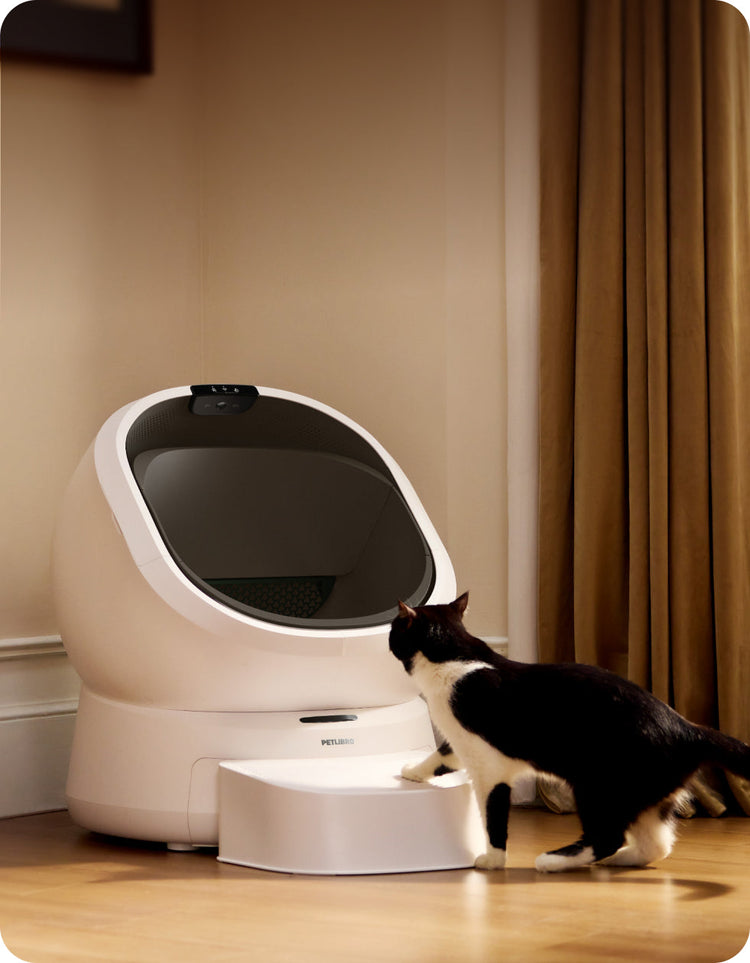 Petlibro PETLIBRO Katzentoilette weiß, Katze am Einstieg; Haustier-Zubehör, Brunnen und automatischer Futterspender erwähnt