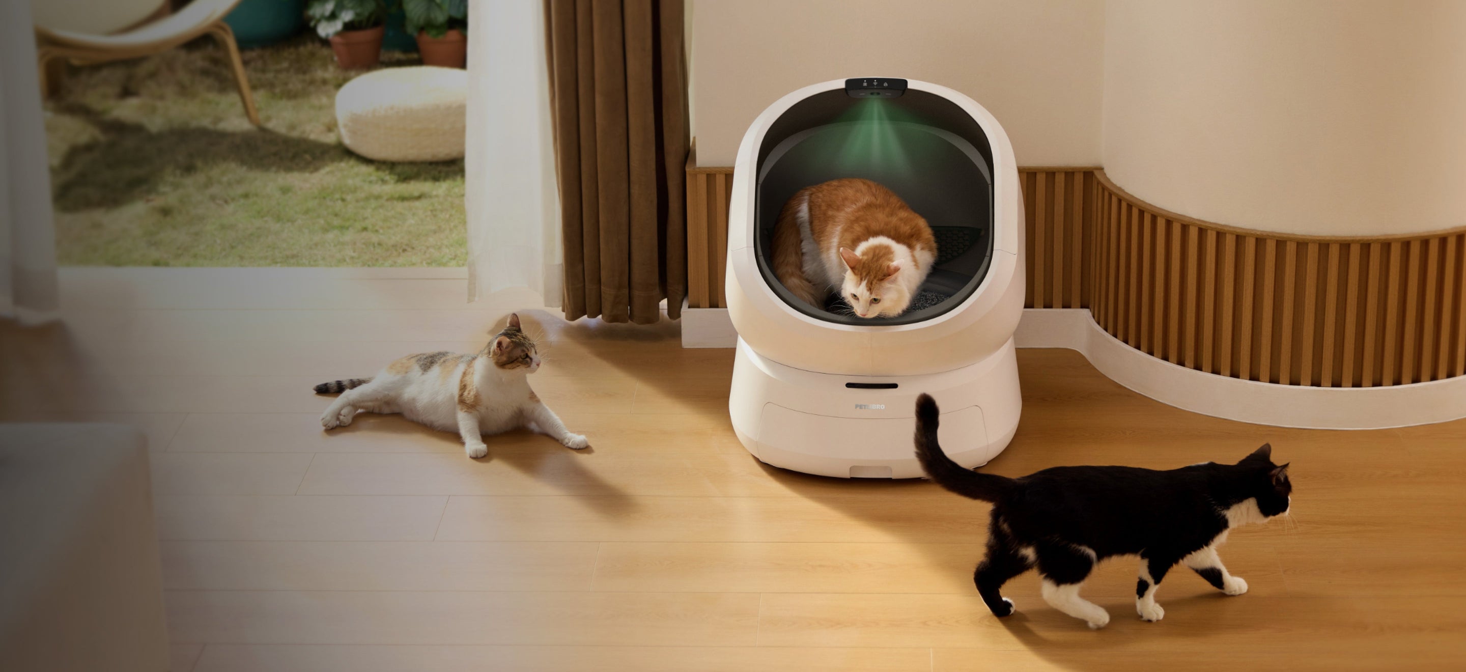 Petlibro PETLIBRO Katzentoilette, Katze im weißen Gerät; Haustier daneben, Brunnen und automatischer Futterspender im Wohnraum.