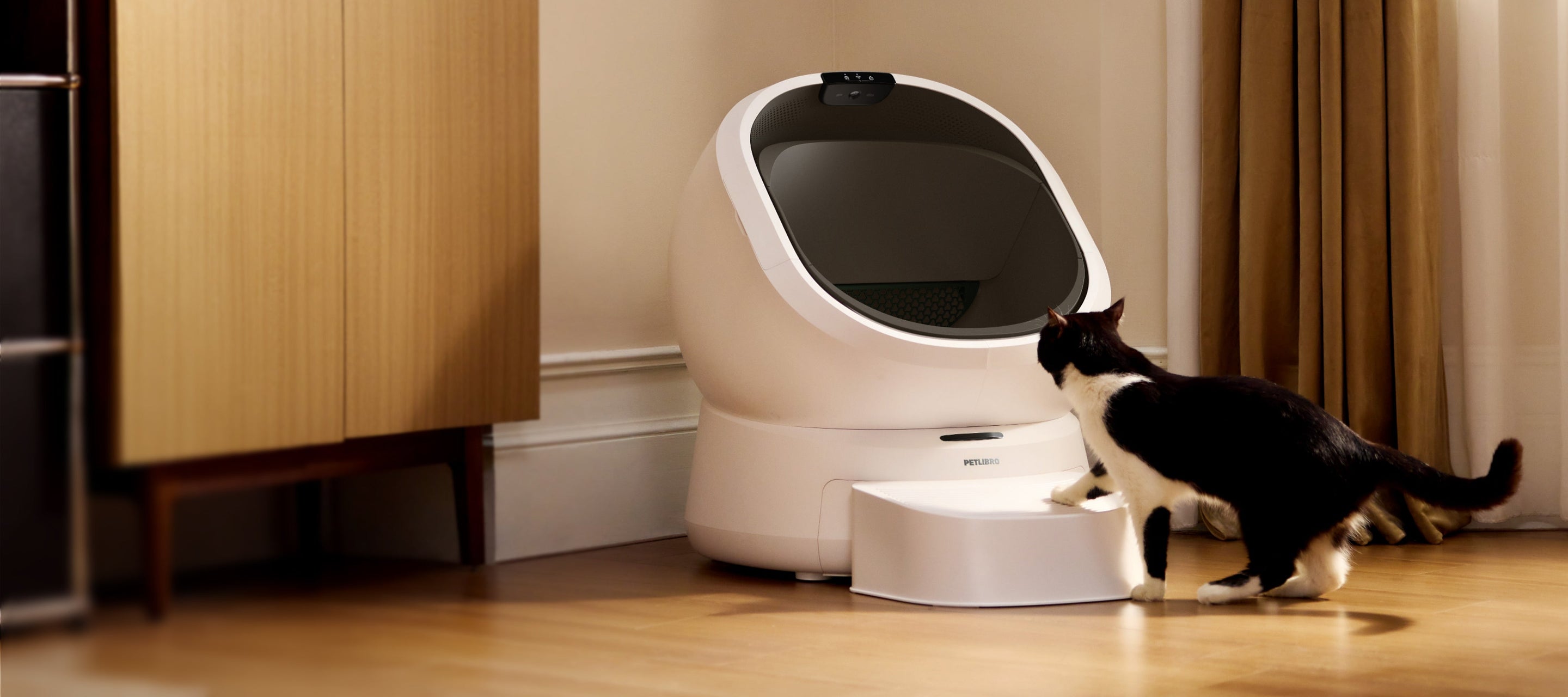 Petlibro PETLIBRO Katzentoilette, Katze am Einstieg; Haustier-Setup, Brunnen und automatischer Futterspender erwähnt, weißes Gerät im Raum