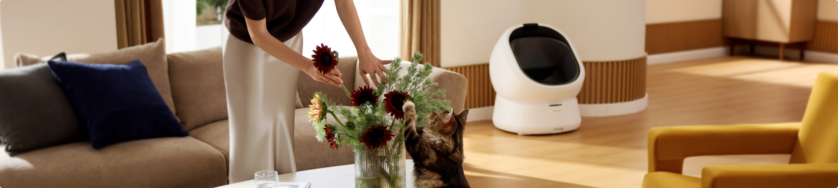 Petlibro PETLIBRO Lifestyle: Katze am Tisch, im Hintergrund weiße Katzentoilette; Haustier zuhause, Brunnen und automatischer Futterspender erwähnt