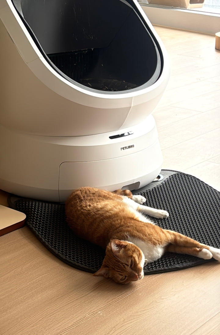 Petlibro PETLIBRO Katzentoilette weiß, daneben ruhende Katze auf Matte; Haustier-Ecke, Brunnen nicht sichtbar