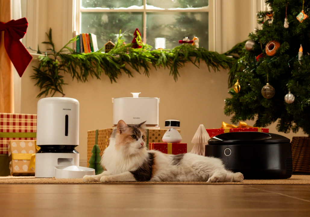 Petlibro PETLIBRO Brunnen, Katzentoilette und automatischer Futterspender neben ruhender Katze im Weihnachtszimmer für Haustierpflege