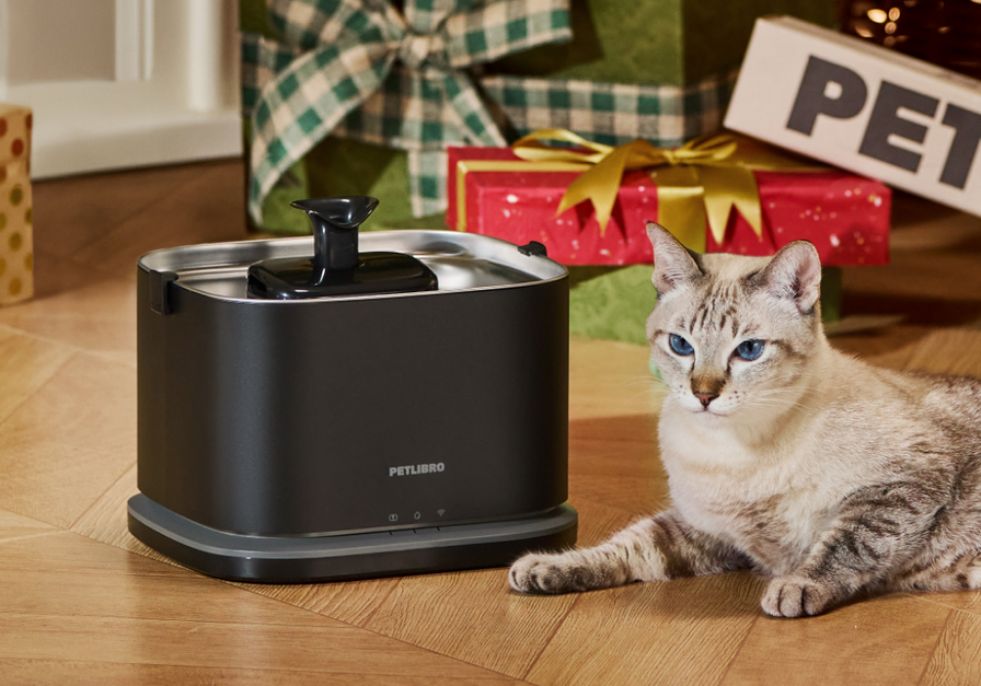 Dockstream 2 Smarter Trinkbrunnen