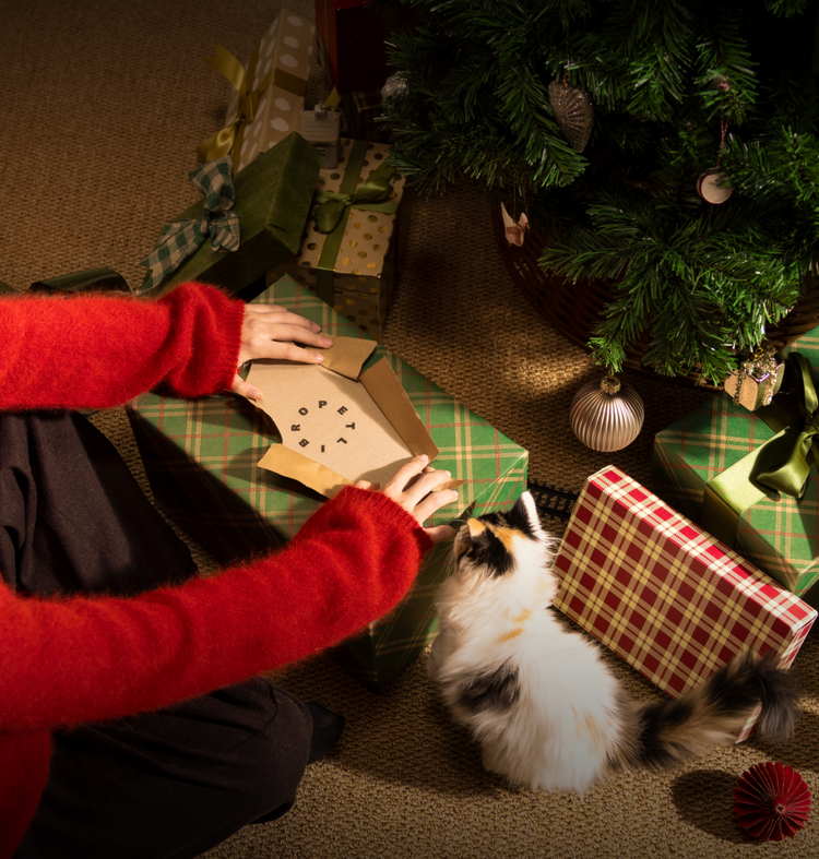 Petlibro PETLIBRO Katze als Haustier bei Geschenken am Weihnachtsbaum; Brunnen, Katzentoilette, automatischer Futterspender erwähnt