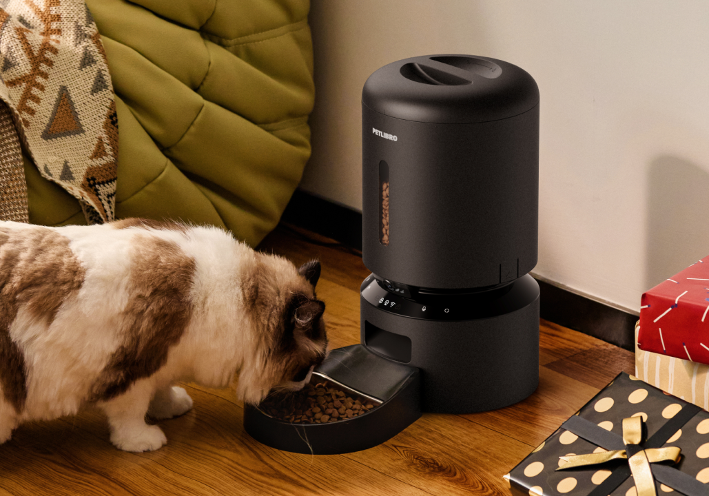 Petlibro PETLIBRO automatischer Futterspender schwarz; Katze frisst Trockenfutter am Napf, Haustier-Zubehör neben Brunnen und Katzentoilette.