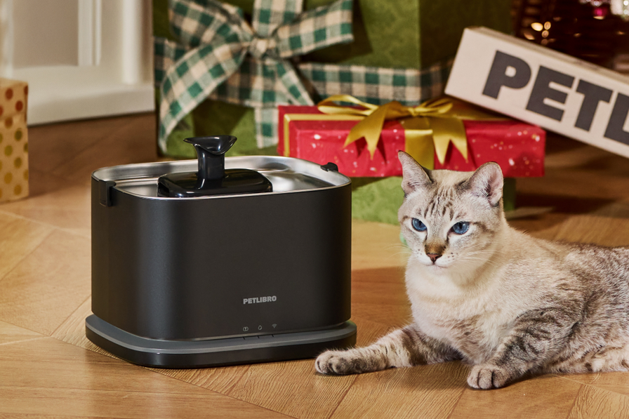 Dockstream 2 Smarter Trinkbrunnen