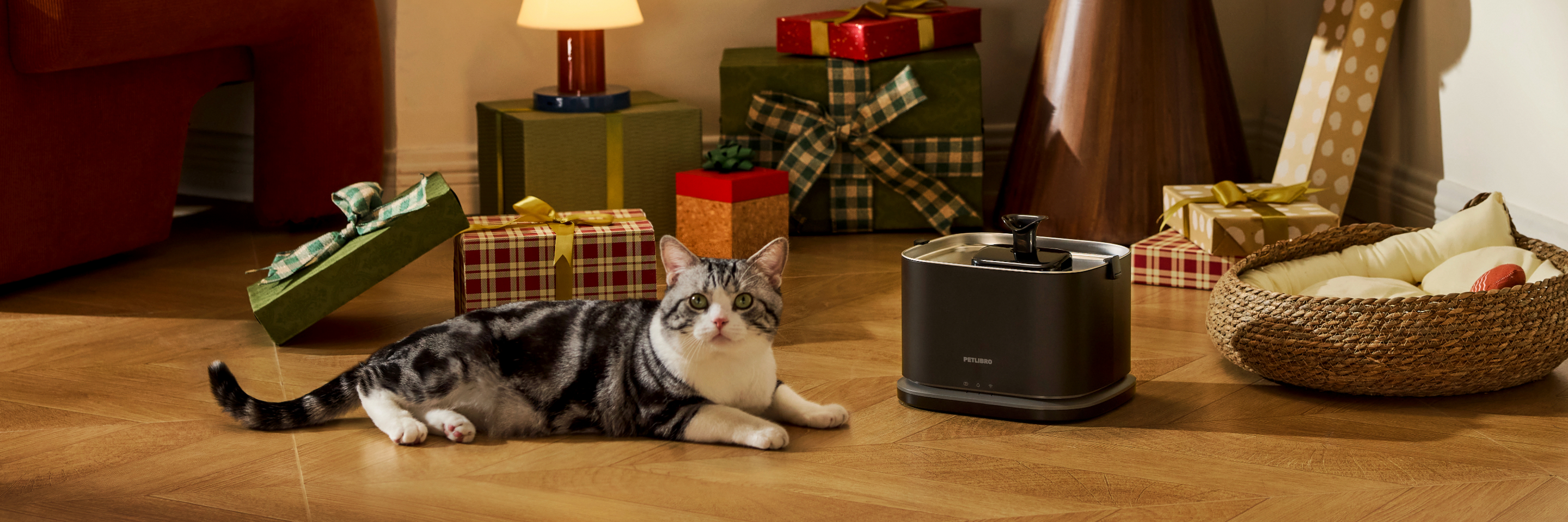 Petlibro PETLIBRO Brunnen neben liegender Katze im Wohnzimmer; Haustier-Setup, erwähnt Katzentoilette und automatischer Futterspender.