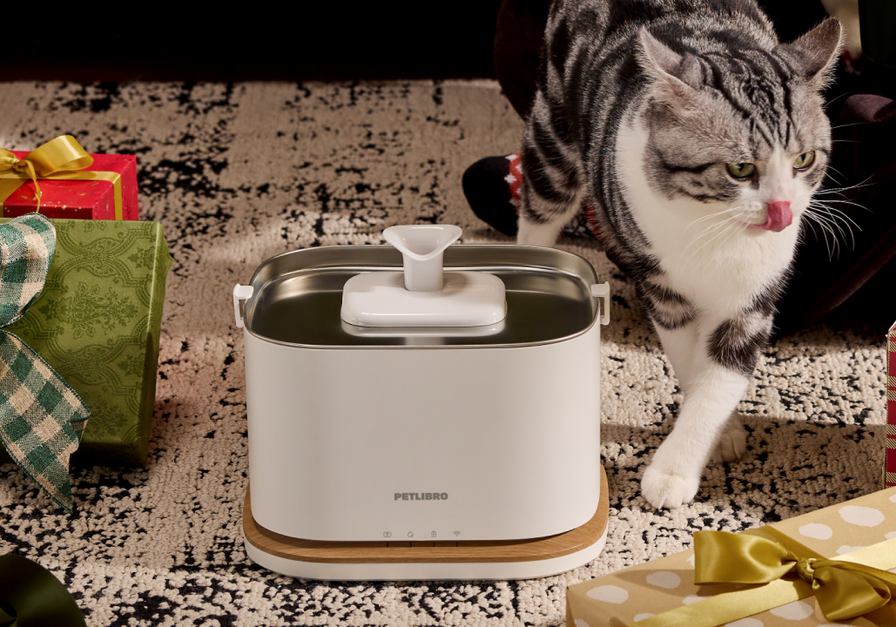 Dockstream 2 Smarter Trinkbrunnen