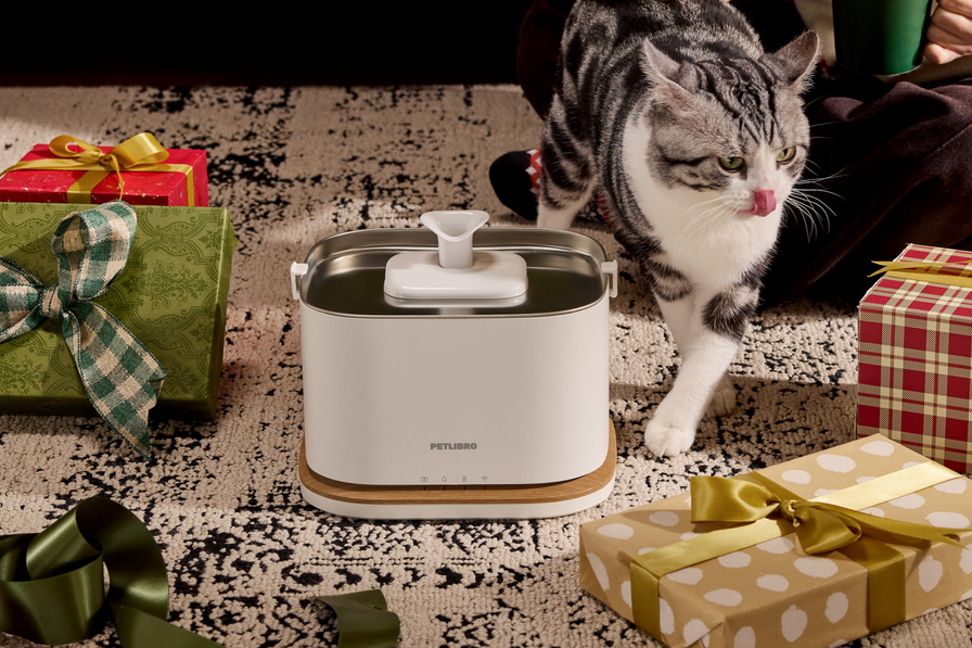 Dockstream 2 Smarter Trinkbrunnen