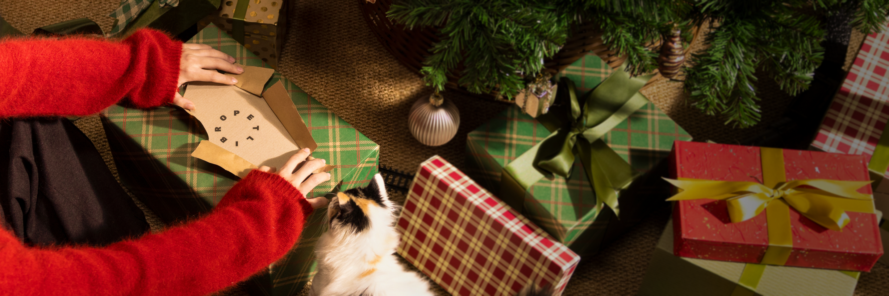 Petlibro PETLIBRO Brunnen, Katzentoilette und automatischer Futterspender als Geschenk; Katze beim Auspacken unterm Baum.